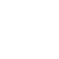 IATA Member