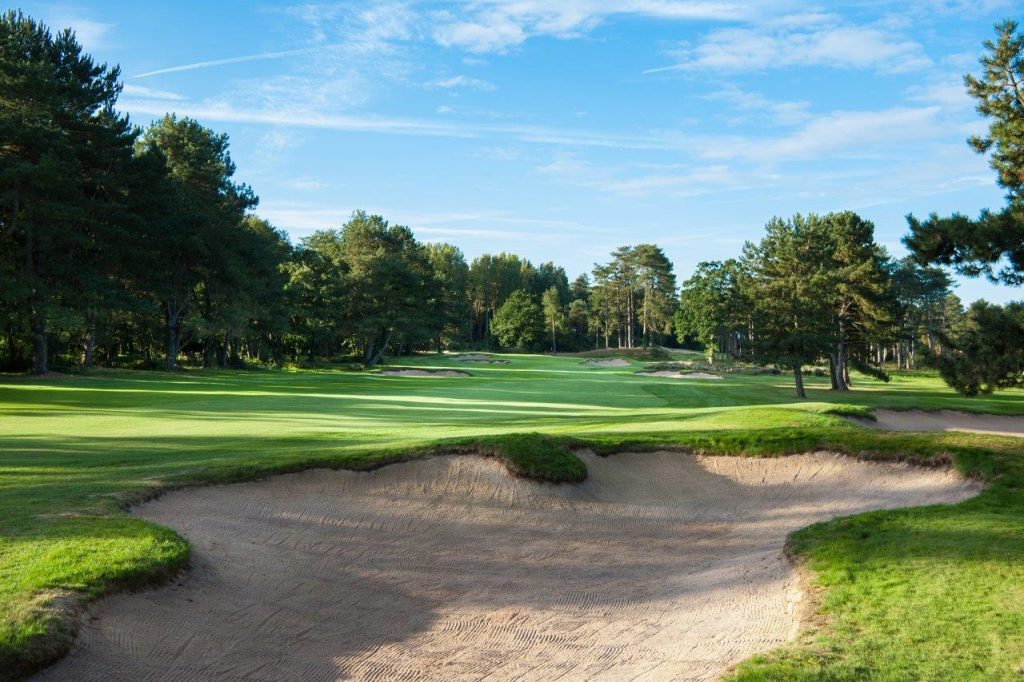 Mature trees on the Hardelot Les Dunes golf course, France