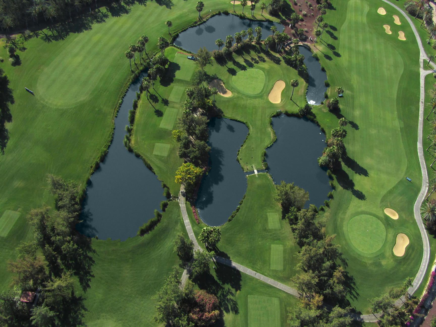 1881 Tenerife Madrigueras Golf Hotel ***** — photo 12