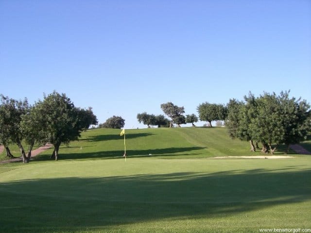 Benamor-7949