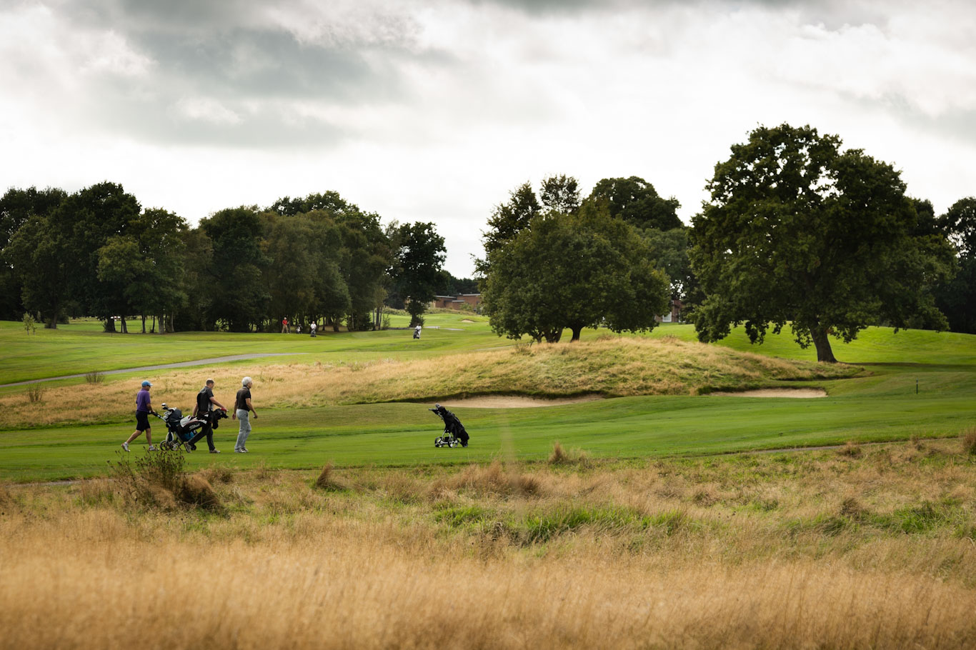 Dale Hill Golf Club,  East Sussex — photo 4