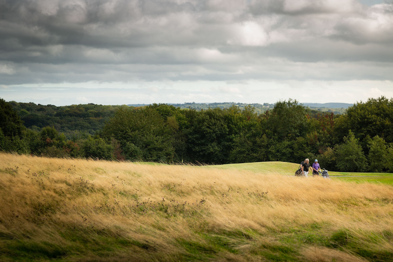Dale Hill Golf Club,  East Sussex — photo 5