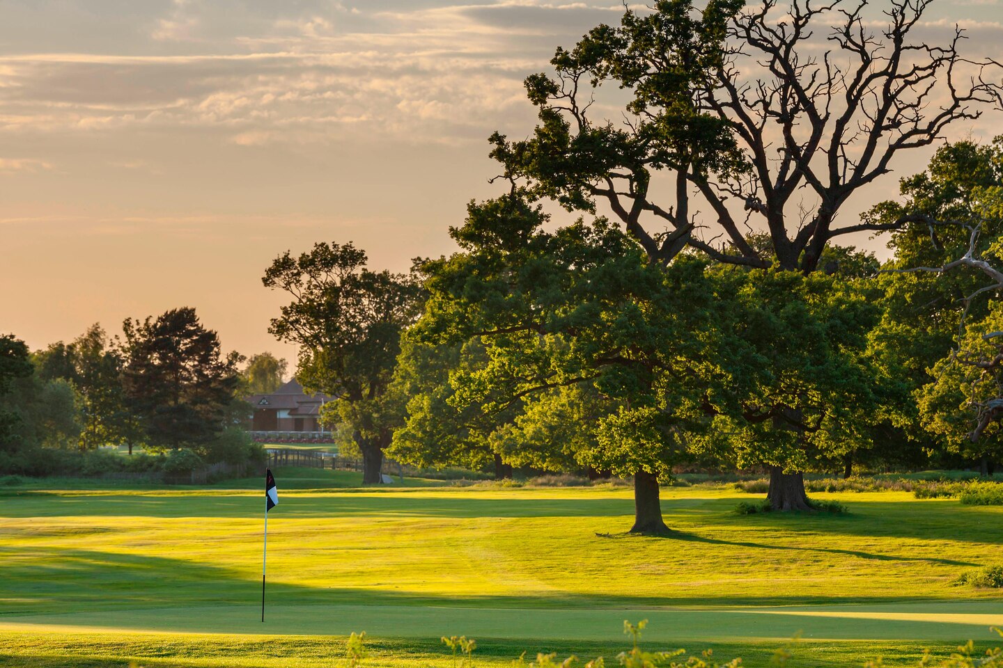 Forest of Arden Golf