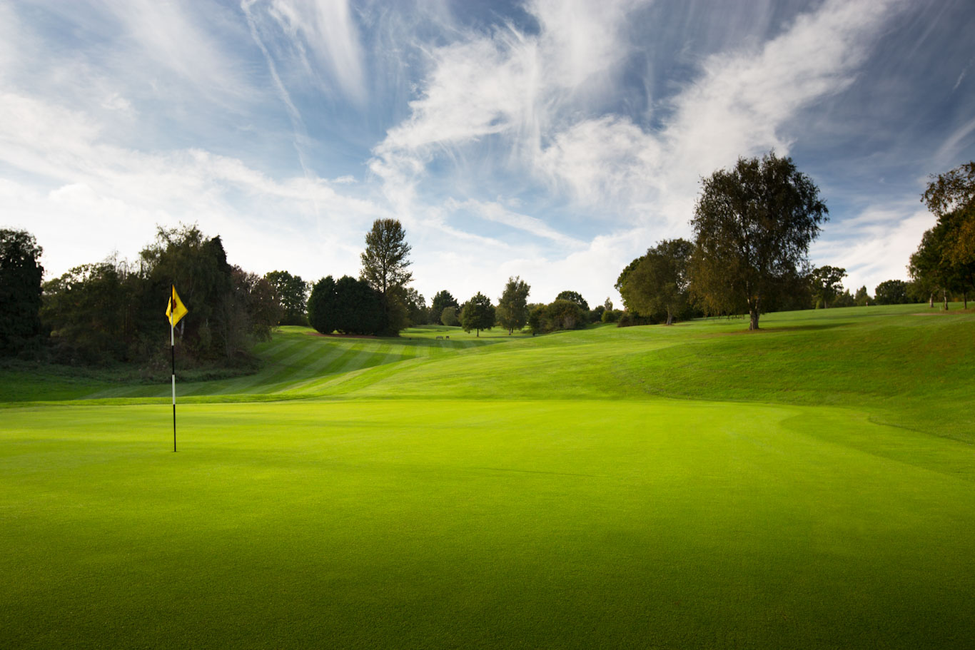 Dale Hill Golf Club,  East Sussex — photo 8