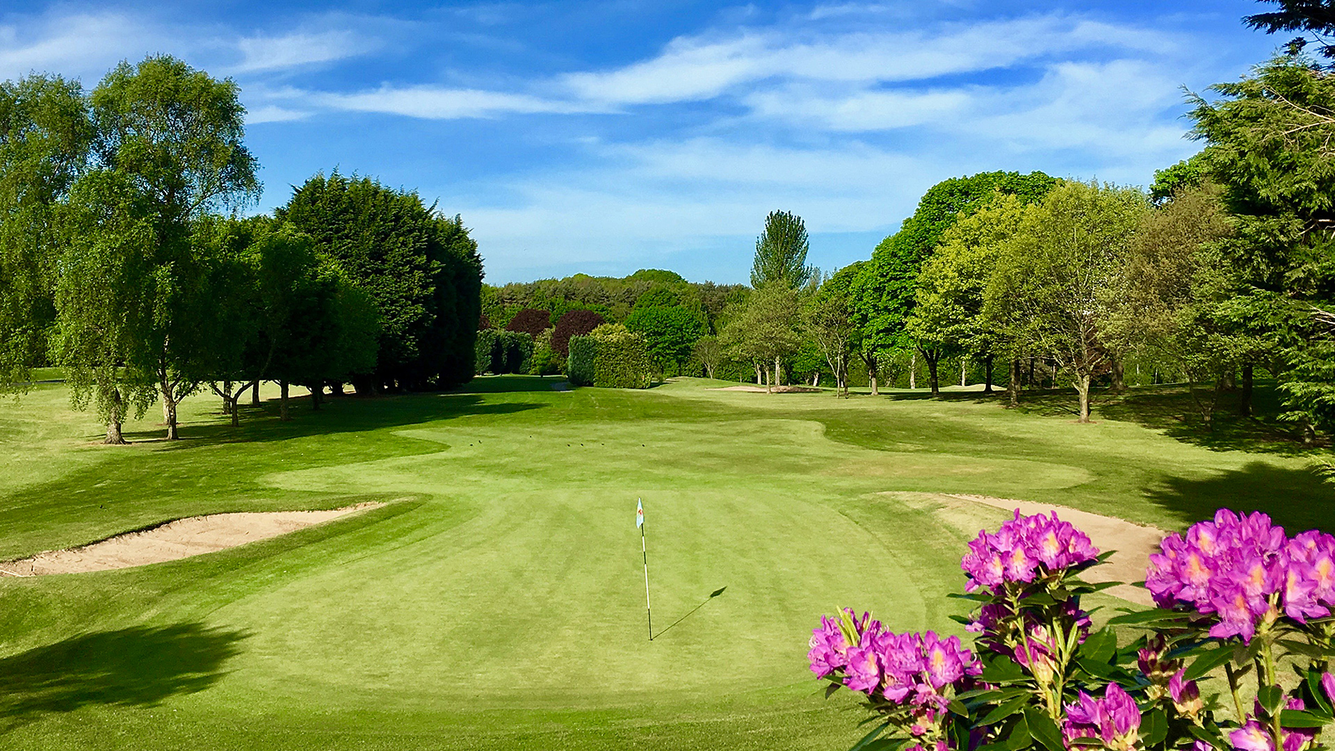 Knock Golf Club, East Belfast — photo 1