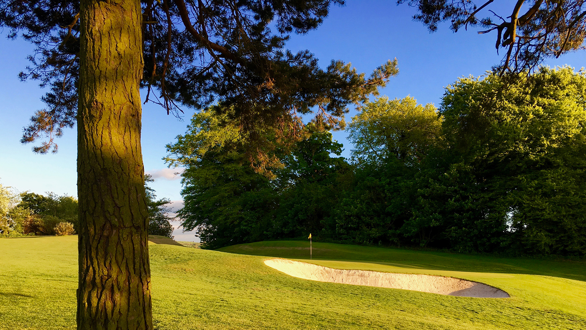 Knock Golf Club, East Belfast — photo 2