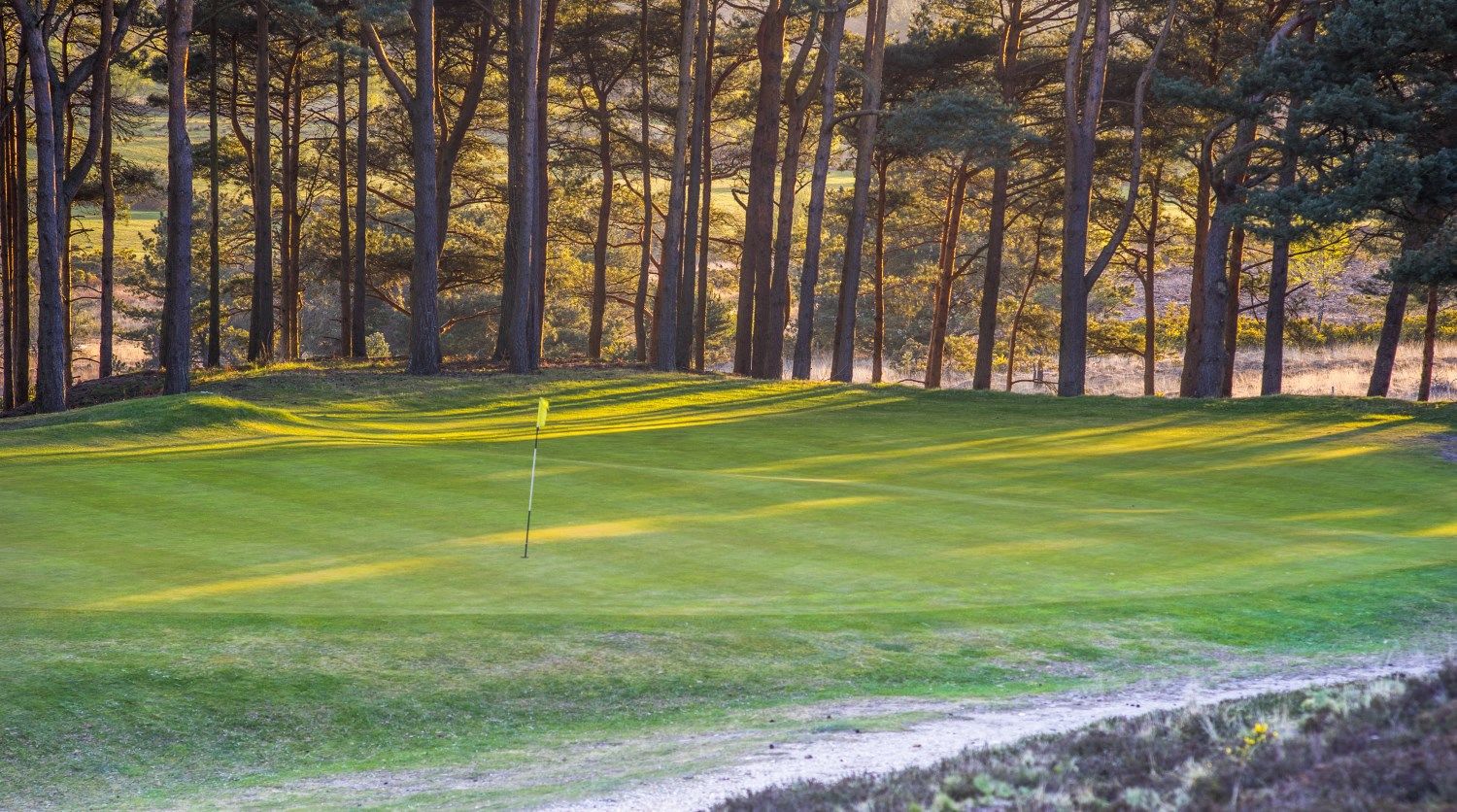 Isle of Purbeck Golf Club, Dorset — photo 3