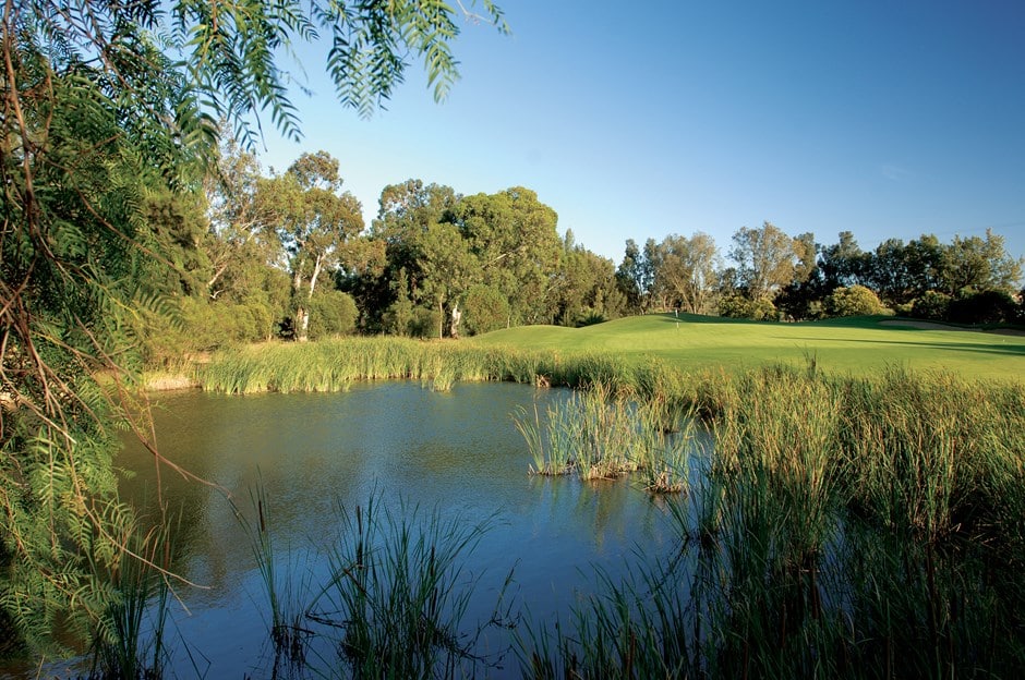 Penina Golf Course-15811