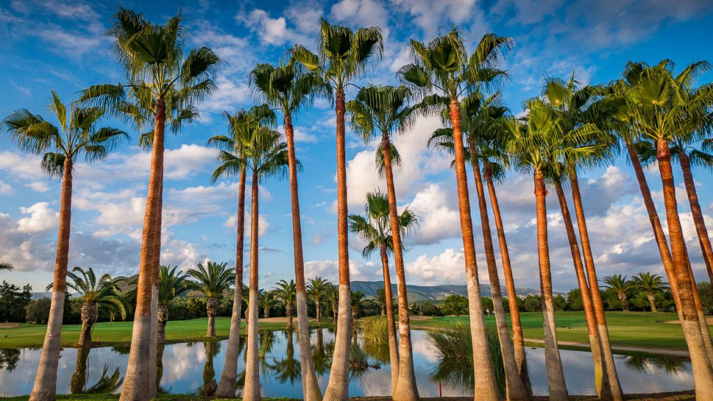 T Golf & Country Club (Poniente)-16376