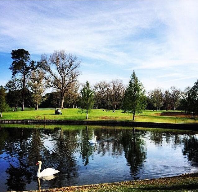 Westlake Golf Club, Cape Town, South Africa. Golf Planet Holidays