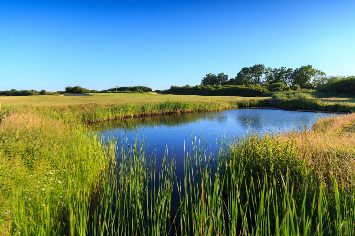 The fourth hole at Cooden Beach Golf Club, Bexhill-on-Sea, England