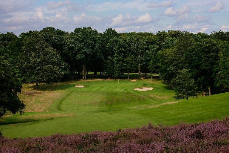 Heather on the hills above the green at Stoneham Golf Club, Hampshire, England